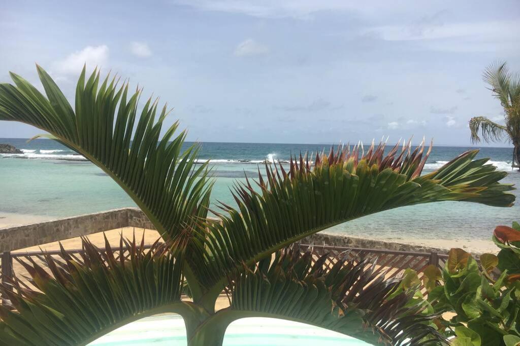 Superbe Studio Superieur Neuf Avec Balcon Saint-Francois (Grande-Terre) Luaran gambar